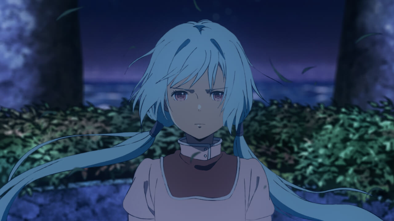 #11-6